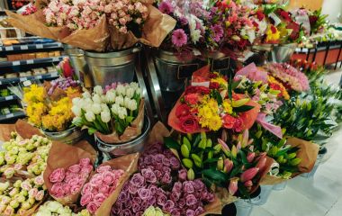Оптова база квітів Київ — свіжа флора за вигідними цінами від VIP-Buket
