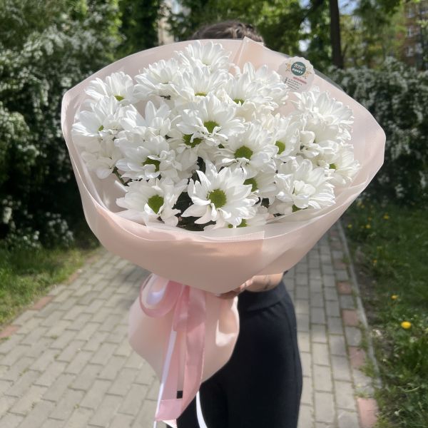 Букет з білої хризантеми Ромашка