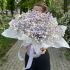 Композиція з гіпсофіли