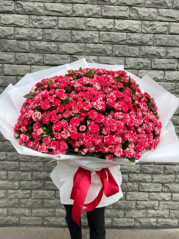 51 кущова троянда Фаєр Воркс 70 см