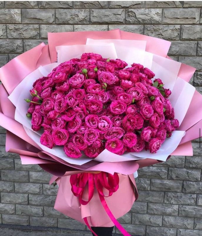 51 кущова піоновидна троянда Марвелоуз