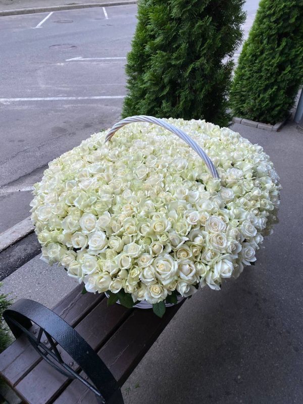501 біла троянда Аваланч в кошику