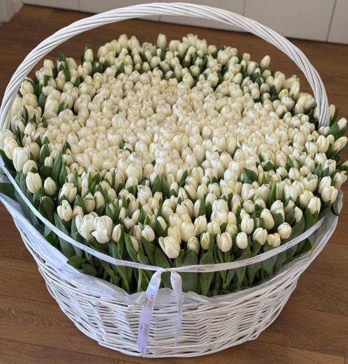 501 білий тюльпан у кошику